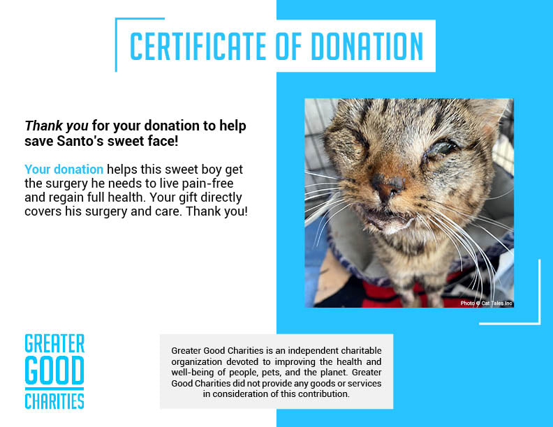 Funded - Save Santo's Sweet Face