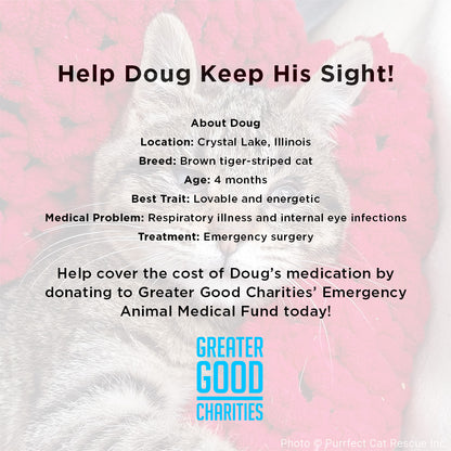 Funded - Help Doug Keep His Sight