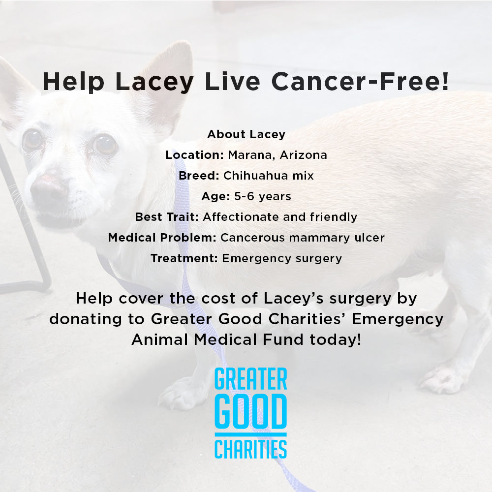 Funded - Help Lacey Live Cancer-Free