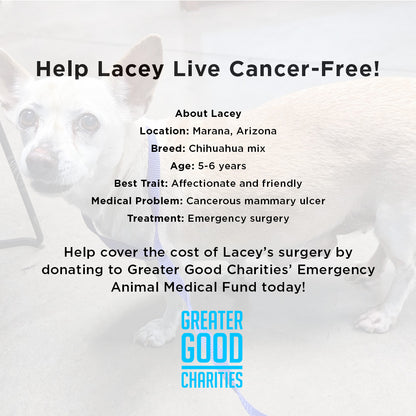 Funded - Help Lacey Live Cancer-Free